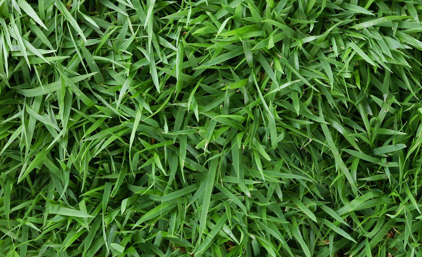 Take a shower, touch some grass, breath some air